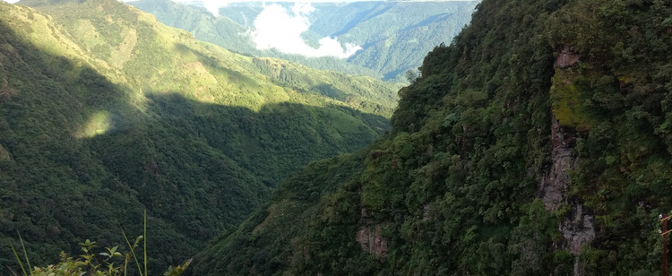 mountains